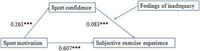 The influence of sport motivation on college students’ subjective exercise experience: a mediation model with moderation